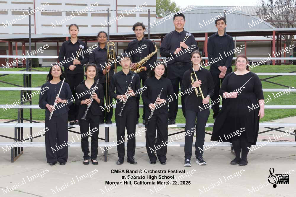 Musical Images